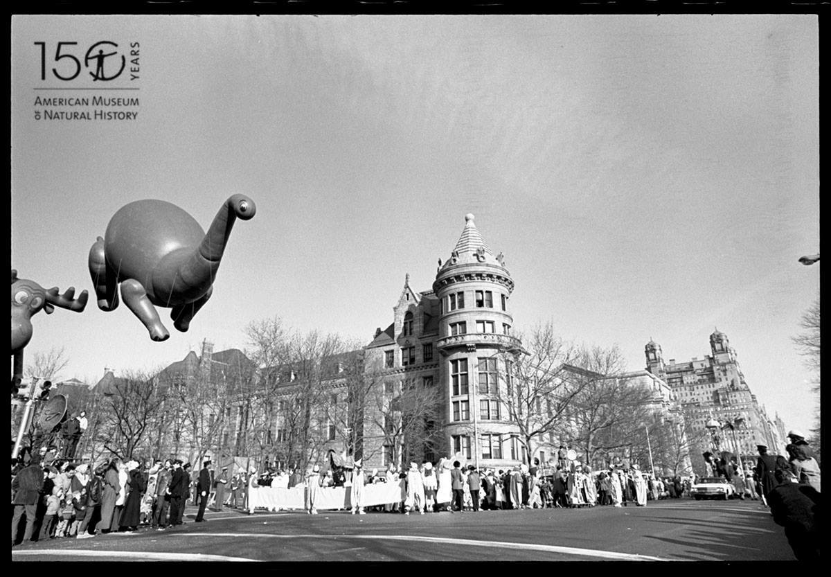 Balloon dinosaur floating by the Museum's turret