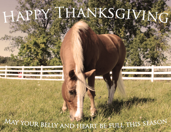 EquiCenter, Inc. tweet media