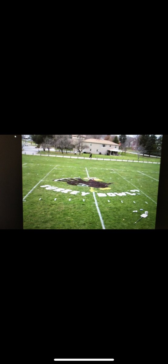 My best friend is really talented so he got a picture off the internet and went to work on the midfield logo. It took him 5 hours but it was a thing of beauty: