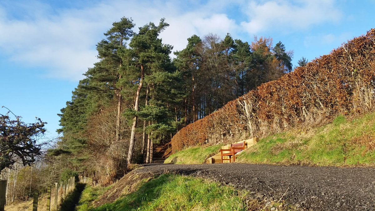 PKCTrust's tweet photo. The #Hosh Path works are pretty much done, and the #path is open to be explored ππΆββοΈπΆ The contractor will be back up next week just to do a wee bit more rolling, but we think it's looking a bit of all right. π @CrieffHydro @VisitCrieff #bigtreecountry #pathupgrade #Crieff https://t.co/fjocFPb8uj