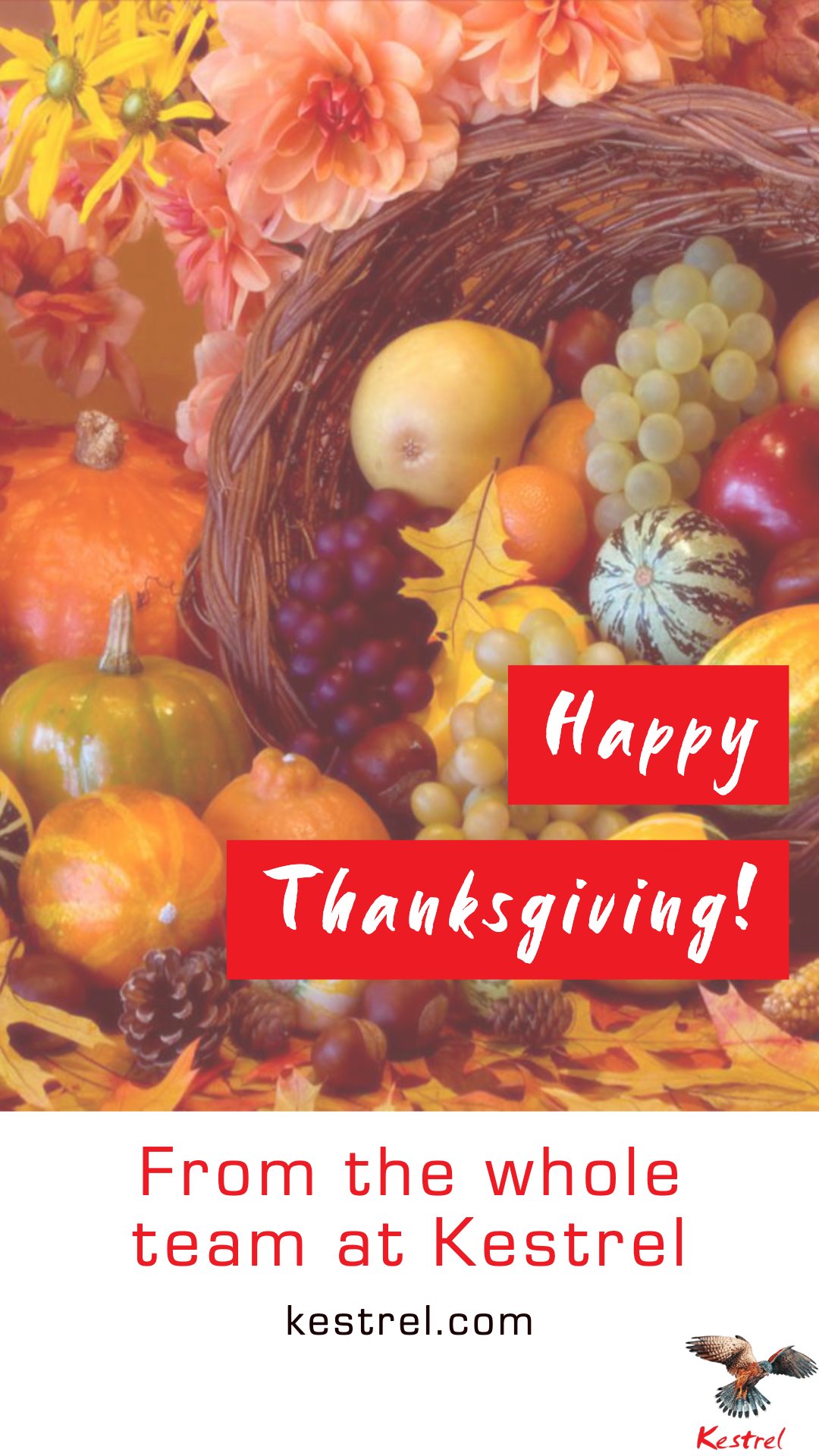 Kestrel Liner On Twitter Wishing Our Friends In The United States A Very Happy Thanksgiving Thanksgiving Globalreachlocalfocus Shipping International Kestrellineragencies Worldwidelogistics Https T Co J6mlltzxhc