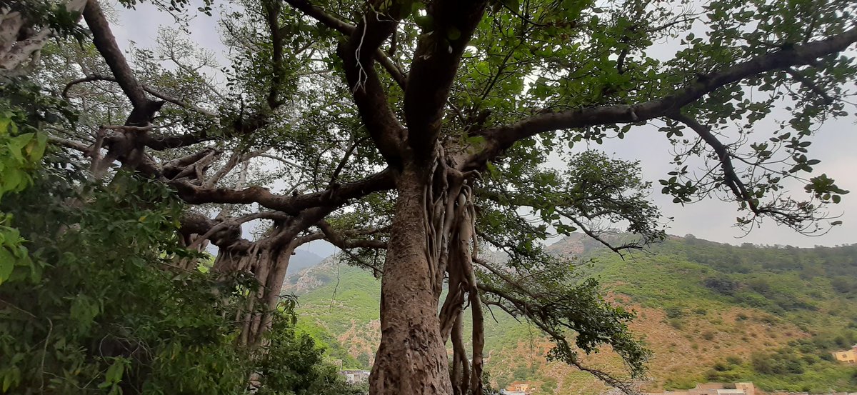 filmzaada's tweet photo. #Recce #Islamabad #HOLLYWOOD #FeatureFilm #TheWindow2020 #Cinematographer https://t.co/M48nWqkNF7