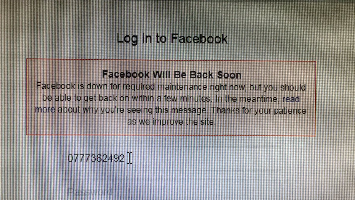 Raashid Malhardeen tweet media