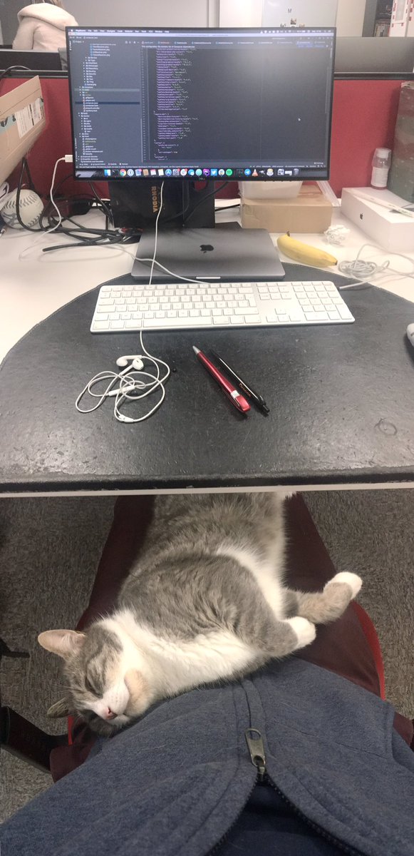 colin_maxime's tweet image. Mon setup #purrprogramming