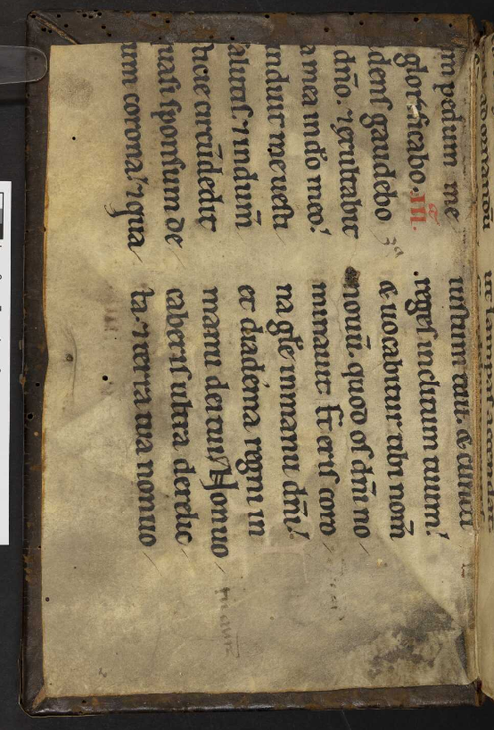 Tomorrow is Buy Nothing Day, so let& #39;s celebrate medieval thrift with some recycled manuscript endleaves.   #PolonskyGerman