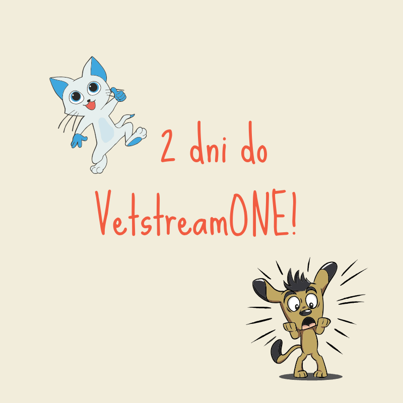 vetstream_pl's tweet photo. Do konferencji #vetstream_one: Chirurgia i ultrasonografia w praktyce, zostało już tylko dwa dni. Lepiej przyjedź, żebyś potem nie żałował. https://t.co/16QQyNIQ5X

#panasonic #dll #philips #orange #zoetis #parker #weterynaria #polska #konferencja https://t.co/sSuJ9yWZqJ
