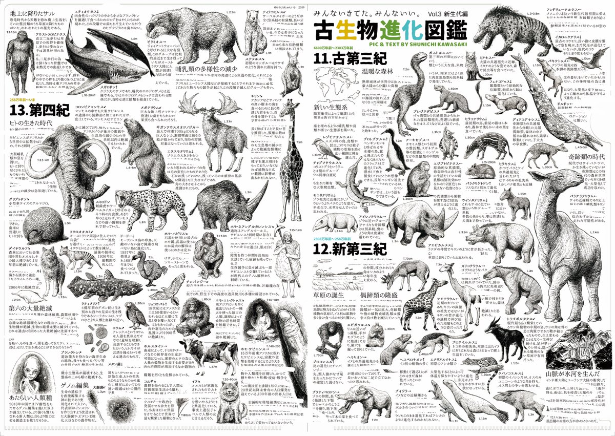 遂に『古生物進化図鑑Vol.3 新生代編』完成しました!!新生代は恐竜絶滅直後から次々移り変わる生態系、太古の巨獣から見たことのある現生種。ホモ・サピエンスと他に存在した滅びた人類種、サピエンスによる新たな生命革新という胸熱時代です。 #いきもにあ #いきもにあ2019 #古生物進化図鑑 