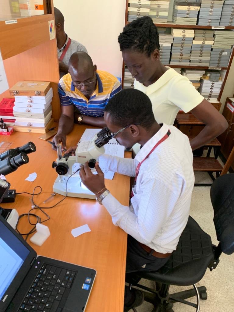 AlliKnowAreBugs's tweet photo. Mosquito and Sand Fly Identification Clinic. My team were awesome and it was fun for me to ID and see for the first time a few African species. #Motherland #Kenya #Entomologist #VectorDiseases #Skeeters #Flies #HappyPlace https://t.co/CDv7npIXli