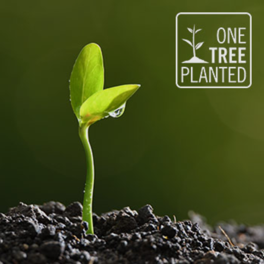 Evertree - The Greener Vape Store (@EvertreeV) / Posts / X
