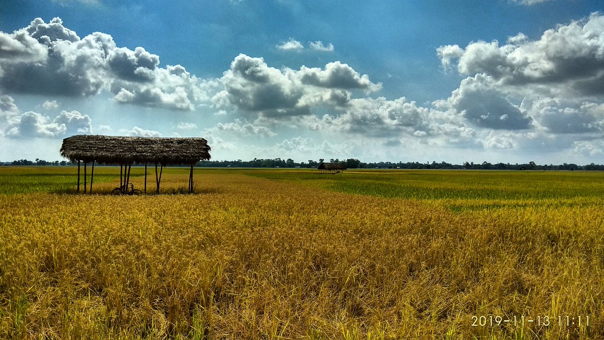 sabir_ode's tweet photo. Serene view of the #Majuli biggest river island. #portrait #landscape #biker #bikes https://t.co/eYo3uKwrCO