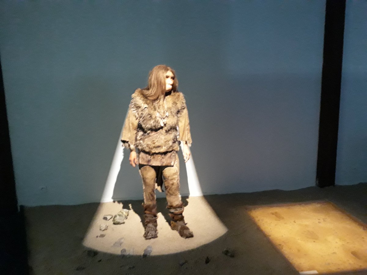 Le Temps des Collections ouvre dès demain à Elbeuf avec l'exposition "Pierre de Seine" à la Fabrique des Savoirs. De la préhistoire en passant par le Cathédrale de #Rouen...