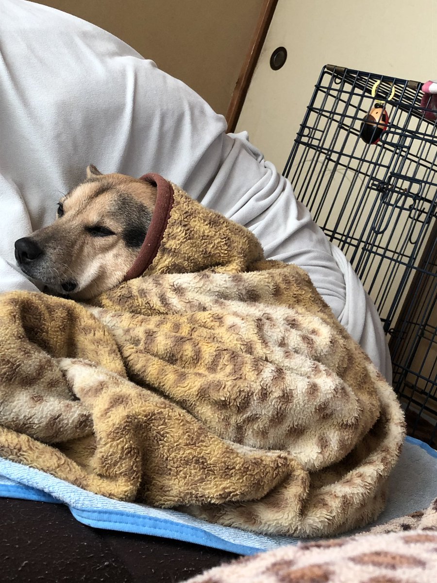 今日も、寒いなぁぁ😖😖
youtu.be/ARwScqmXIMk