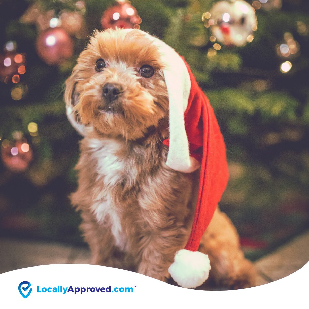 With only 27 days until Christmas have you got any jobs around the house that you want to get done? If so check out locallyapproved.com our local services will be more than happy to help at this magical time of the year.
#christmas #supportlocal #Christmas2019