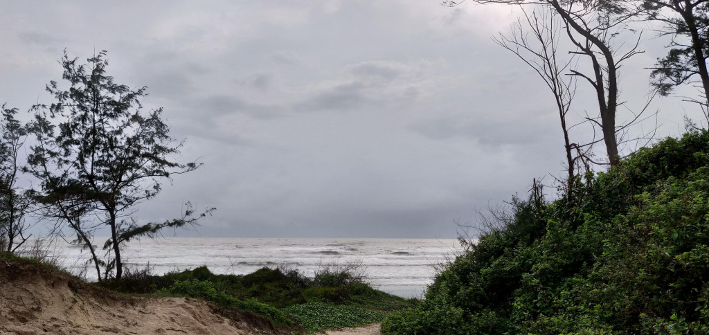OberoiResham's tweet photo. BEACH THAT DESIRES CROWD https://t.co/mDKZUO0cJI https://t.co/d3x8jQhFlV