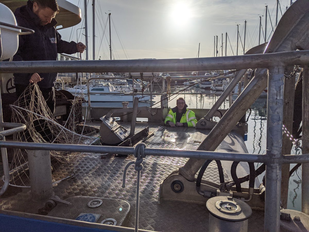 jennifer mackellar tweet media