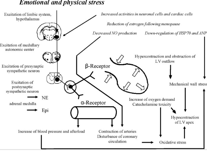 whoswise's tweet photo. #CATdevant une cardiomyopathie de stress:#takotsubocardiomyopathy (also called transient apical ballooning and stress cardiomyopathy), left ventricular dysfunction, which can be remarkably depressed, recovers within a few weeks
Ttt: gestion hemodynamic+ ttt symptomatique https://t.co/CAfnOAxTrj
