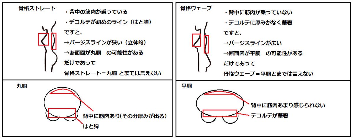 Yukari パーソナルカラー 骨格診断 千葉 流山 Twitterren 下着のお話です 骨格ストレート だから 丸胴 バージスラインが狭い 骨格ウェーブ だから 平胴 バージスラインが広い 訳ではありません あくまで その可能性があります というだけです 私は骨格