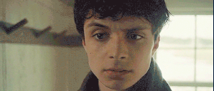 blytheskindred's tweet photo. what is causing Gilbert to look like this? Wrong answers only. #renewannewithane #SAVE_AWAE https://t.co/XQ1JxeIgRx