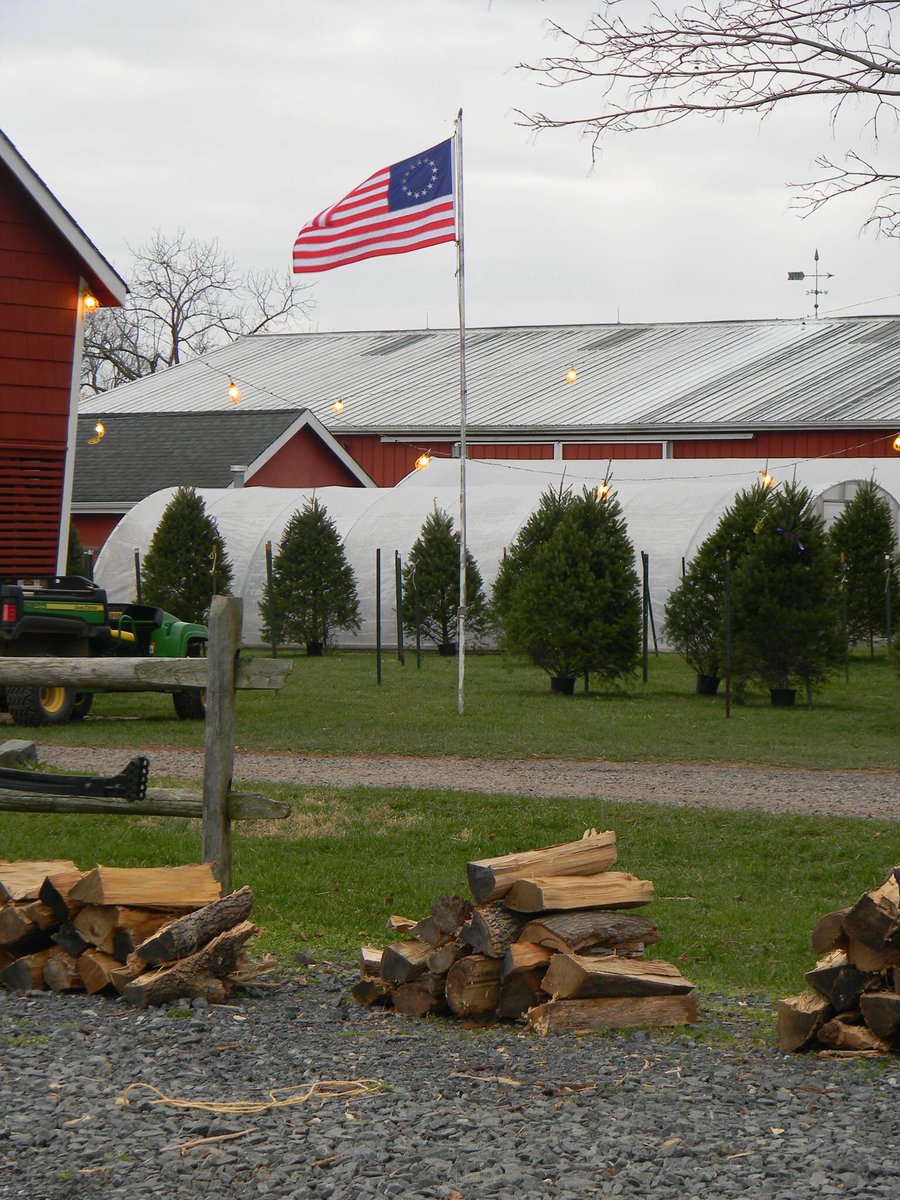 SuydamFarms's tweet photo. Happy Thanksgiving! Tomorrow, Come to the Farm for you perfect Christmas Tree and Wreath. Stroll the grounds, enjoy a cup of cider, toast a marshmallow!  FRI-SAT-SUN 8 to 5 #njlove #BlackFriday #farmbiz #ChristmasTree https://t.co/hhU0sAgnkd