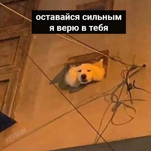 HaPyTo6969's tweet photo. https://t.co/M6ZxfCc1uz
