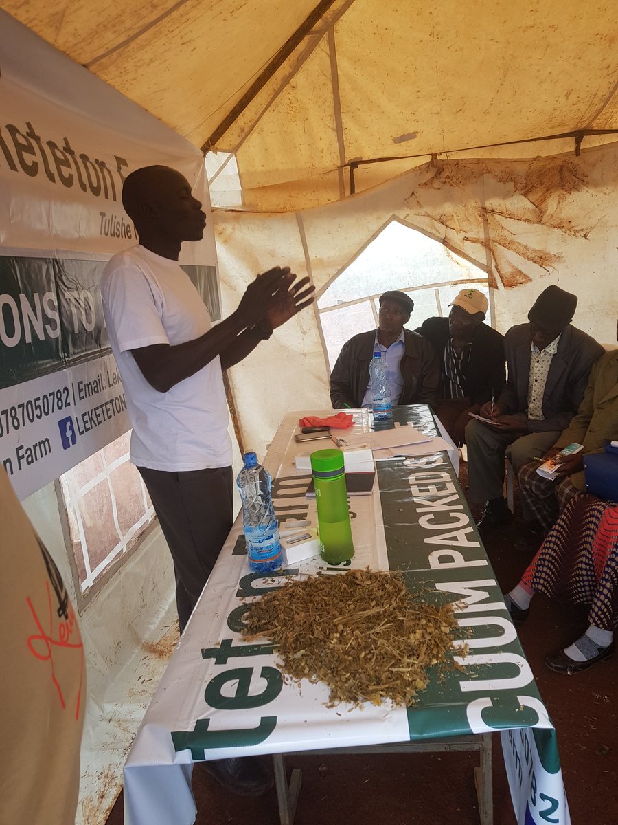 Juicytweeter's tweet photo. #Tulishengombe# #mattersfodder# @Kagwe Stadium educating the regional farmers on matters fodder https://t.co/1Q8Jfx0rJP @leketeton farm https://t.co/jgchBFtrX8
@mkiptoo https://t.co/gFzlCaldHE