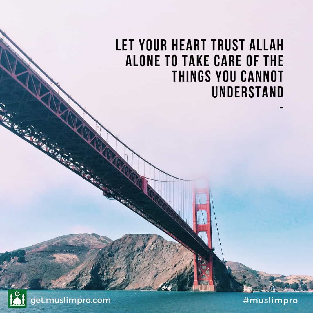 Sani (@triwisaksana) on Twitter photo 