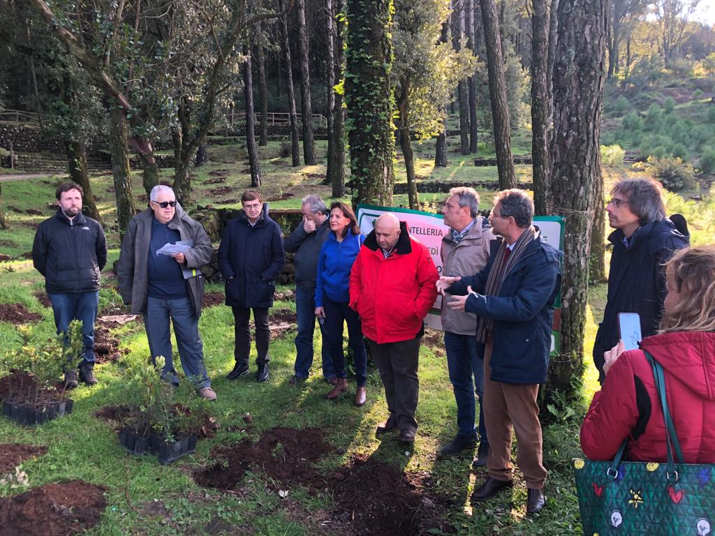 A #Pantelleria 24 ragazzi sistemano  le ultime delle 10mila piante di #alberi per l'isola nel corso dell'evento conclusivo dell'iniziativa promossa dal  comitato #ParchiperKYoto, per non dimenticare  l'incendio del 2016.
Qui la news: federparchi.it/dettaglio.php?…