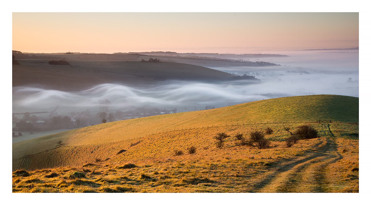 More from the hills of North Dorset. 
These waves of mist were mesmerising to watch as they flowed undulating through the valley below as the sun rose, I’ve not seen anything like them before.

#northdorset #chalkupland #ruralengland