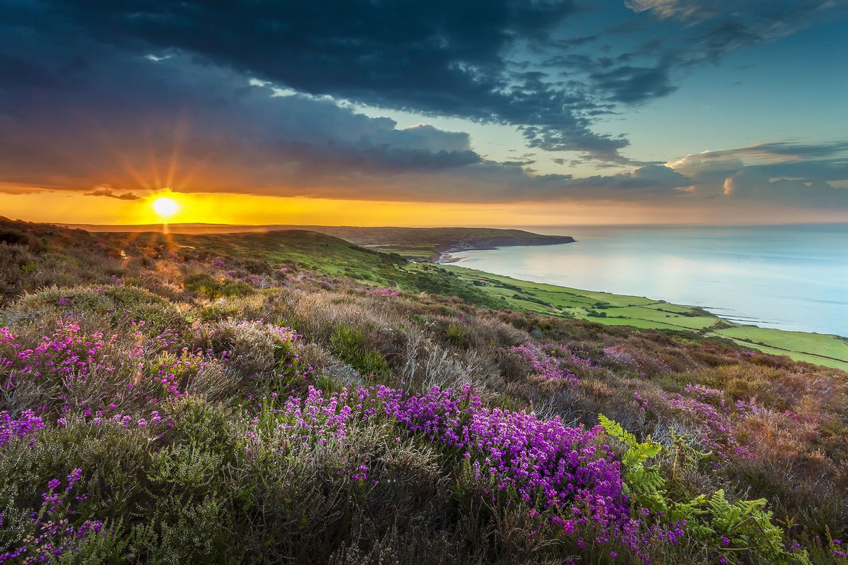 Welcome2Yorks's tweet photo. Happy 67th birthday to the beautiful @northyorkmoors National Park. 

We may be biased but we think it is one of the most picturesque locations in the world 😍 https://t.co/0MUYwWwPU4