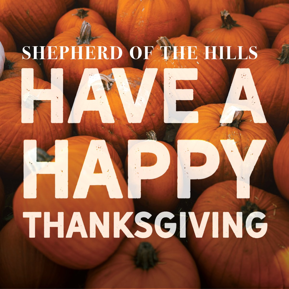 Happy Thanksgiving from your family at Shepherd of the Hills!