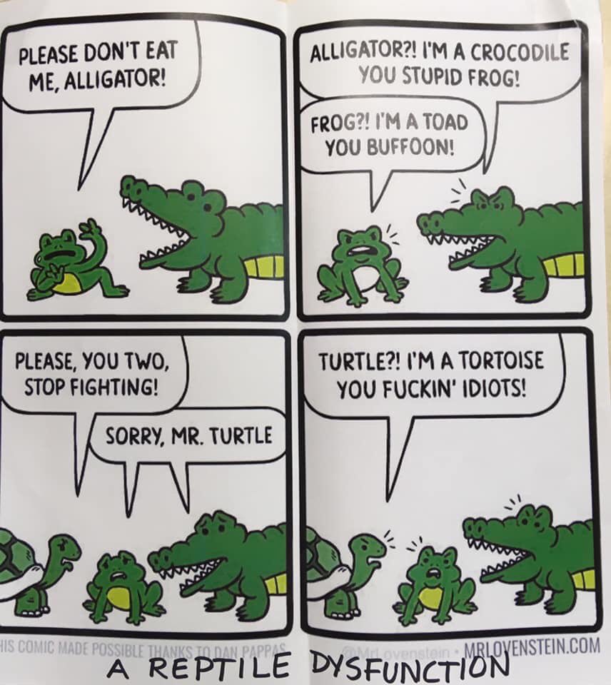 Luz Bella  (@roza_negra99) on Twitter photo 