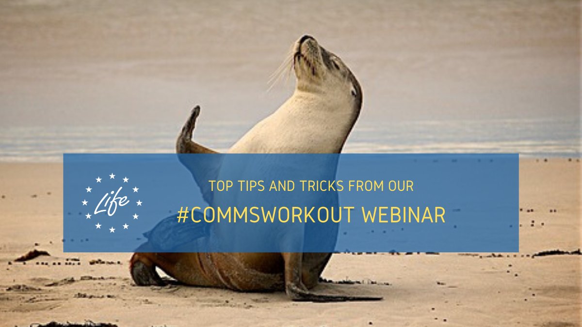 LIFEprogramme's tweet image. You&apos;ve missed our #CommsWorkout #webinar? Don’t worry! Watch now the webinar recording 💻🔴 and learn how to best spread the word about your #LIFEproject!

Find the link + more top tips for communication here 👉 europa.eu/!Jj98Ww