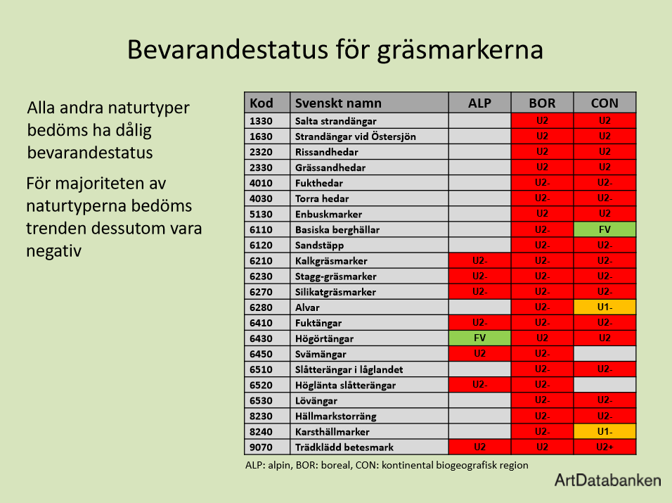 Mer från Jordbruksverkets miljömålsseminarium: Artdatabanken sammanfattade bevarandestatus för olika gräsmarkstyper i en bild. Grönt är gynnsam bevarandestatus, gult är ogynnsam bevarandestatus, rött är dålig bevarandestatus. Plus och minus är bedömda trender. #artdatabanken