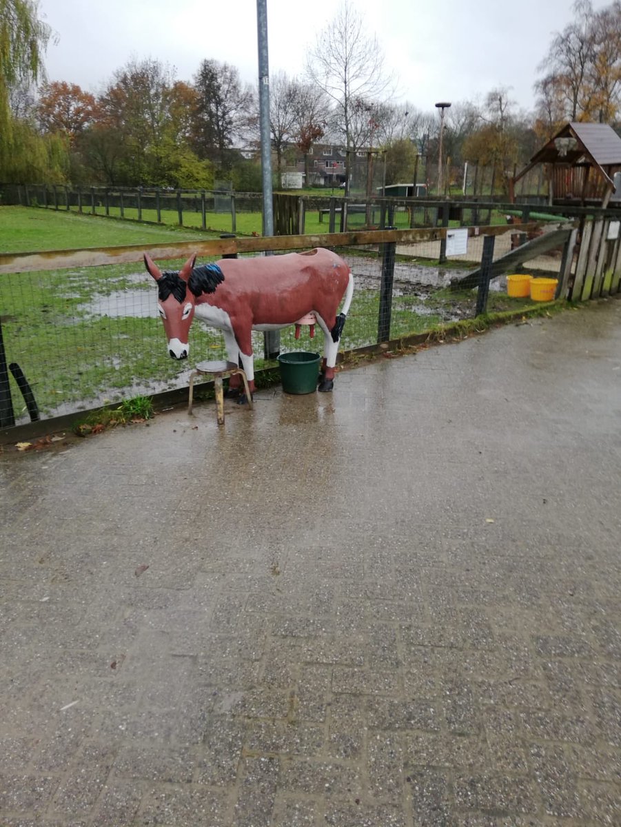 JoggBreda's tweet photo. Kinderboerderij Parkhoeve wordt officieel #rookvrij verklaard! Samen werken we aan een #rookvrijegeneratie. Ook zijn er steeds vaker gezondere versnaperingen te vinden. Goed bezig! @MiriamHaagh @ParkhoeveBreda @rookvrijegen https://t.co/oOcLvp3Yq3