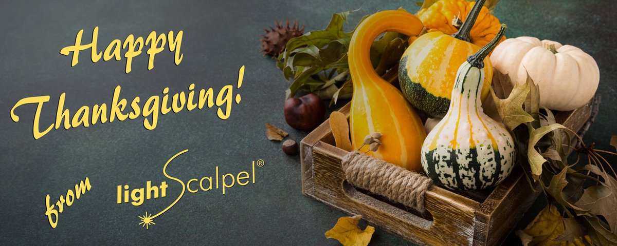 LightScalpelLLC's tweet photo. At this time of Thanksgiving celebration, our thoughts turn gratefully to you with warm appreciation. Our best wishes for a Happy Thanksgiving. From everyone here at LightScalpel.

*For the holiday we will be closed on November 28th and 29th. https://t.co/5BpTl43iZI