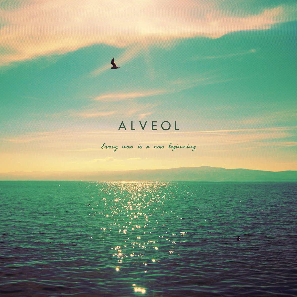 noisymeditation's tweet photo. Alveol - Every Now Is A New Beginning

download codes:

akpz-v9pr
8y9u-687d
22tx-knqh
v9j2-gzbk
6ybd-u6l9
zuvc-j6vt

redeem at https://t.co/UzLpocOZWE

#deephouse #dubtechno #ambient #yumcodes https://t.co/MCYgflp0RC