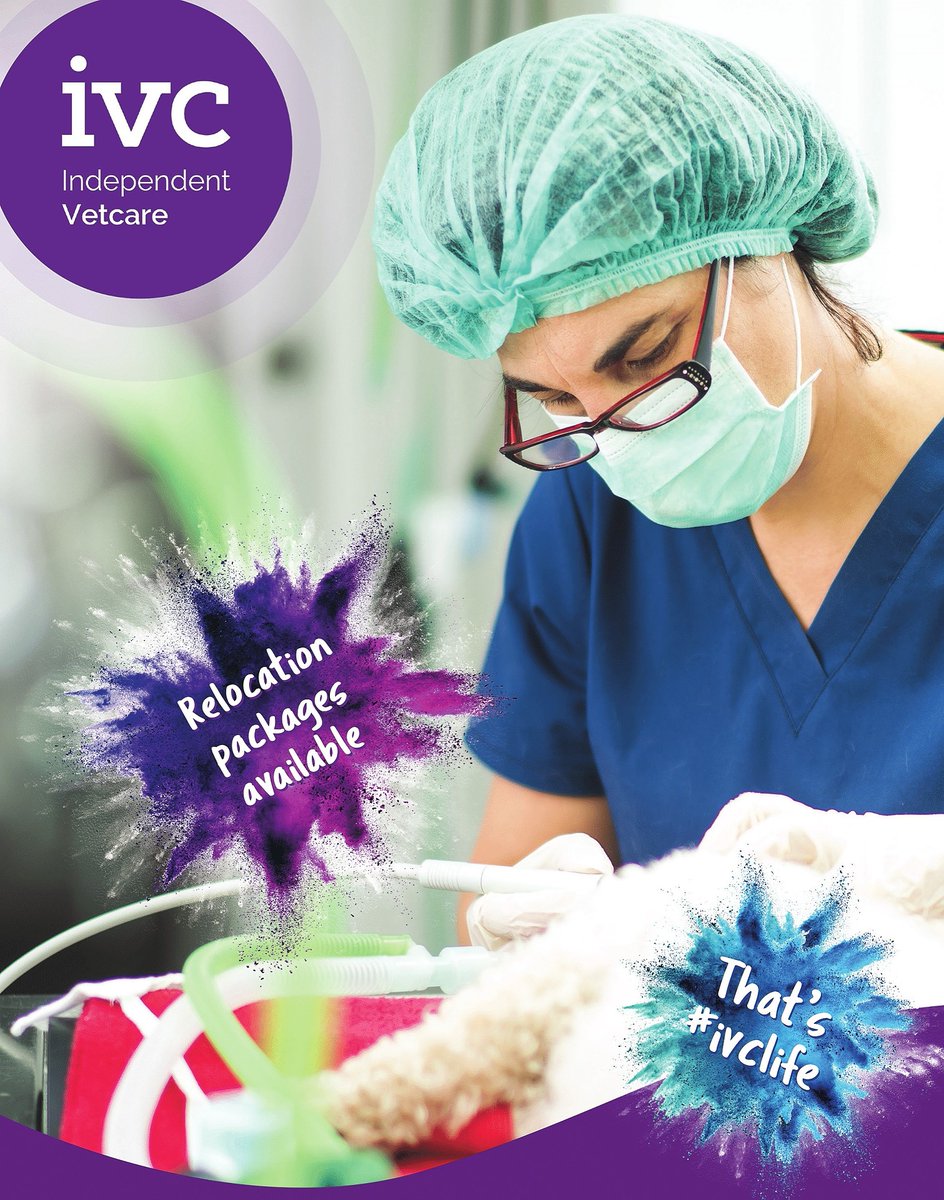 IVCJobs's tweet image. Don’t let the cost of relocating stop you from taking your dream job within IVC. Talk to us to find out if you would be eligible for a relocation package to help with the cost of moving you and your family.

#IVCEvidensiaCareers #IVCEvidensiaLife #RelocationPackage #JobFinder