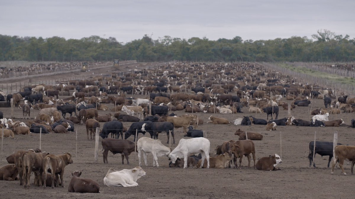 Jalis de la Serna tweet media