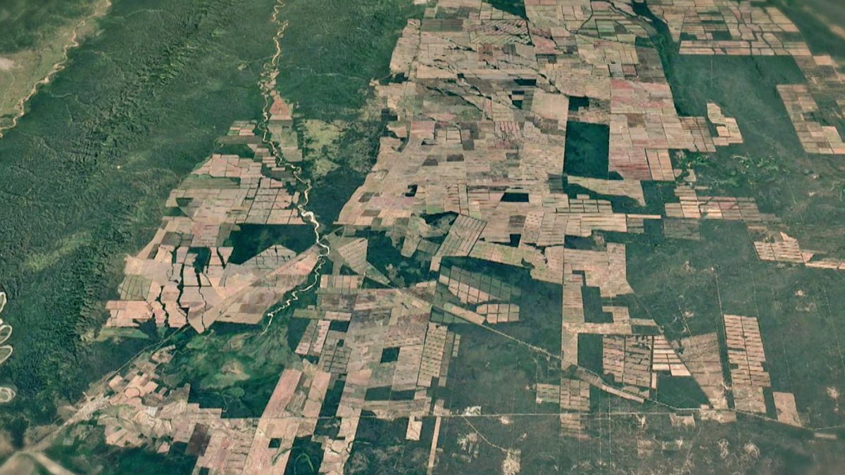 Jalis de la Serna tweet media