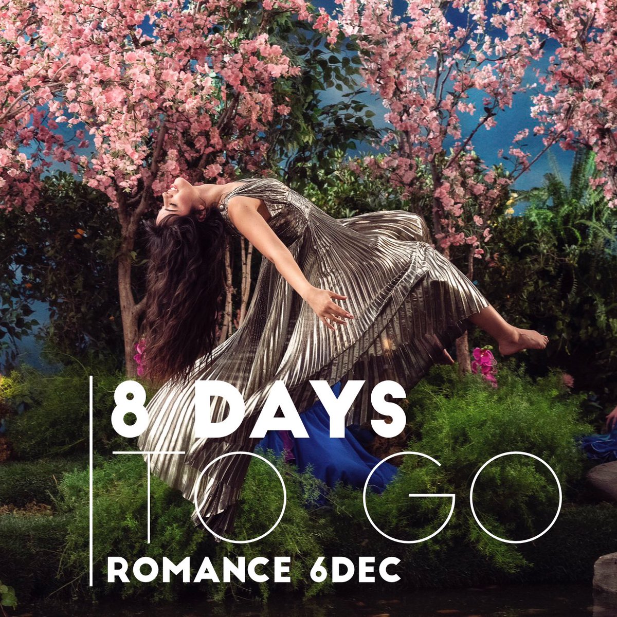 lisalz2's tweet photo. 8 days to go ....Romance 6dec ❤️ #romance #CamilaCabello #myohmy @Camila_Cabello #LivingProofVideo Camila Cabello https://t.co/ggbVE8WWWM