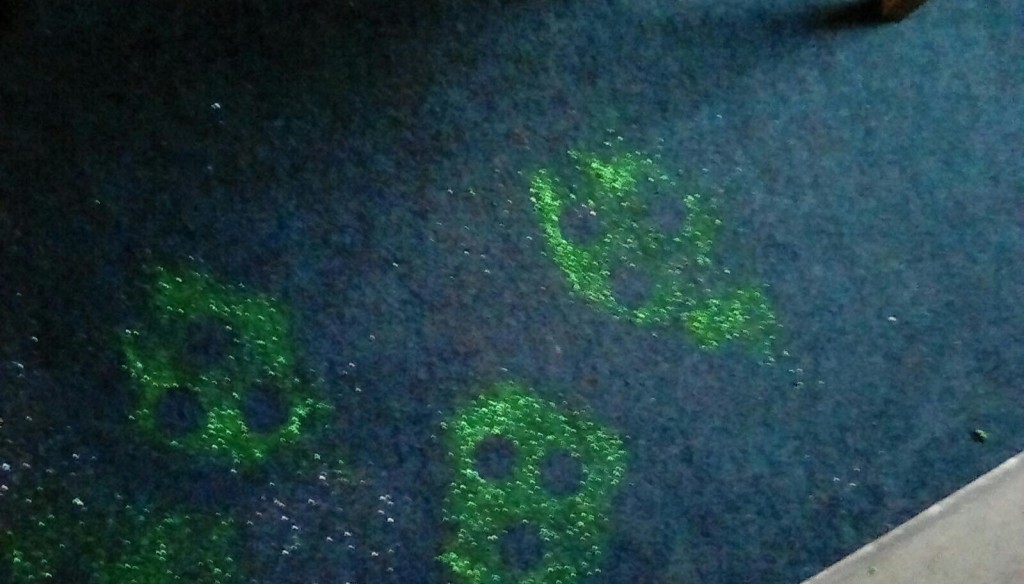GriffinHouseSch's tweet photo. An alien invasion has happened in our Reception classroom. We came in to find a crashed spacecraft, alien footprints & coded messages. The children wrote messages back showing how friendly we are and trying to make sure that they are not scared. Well done boys & girls! #GHSValues https://t.co/cqwHQstxxW