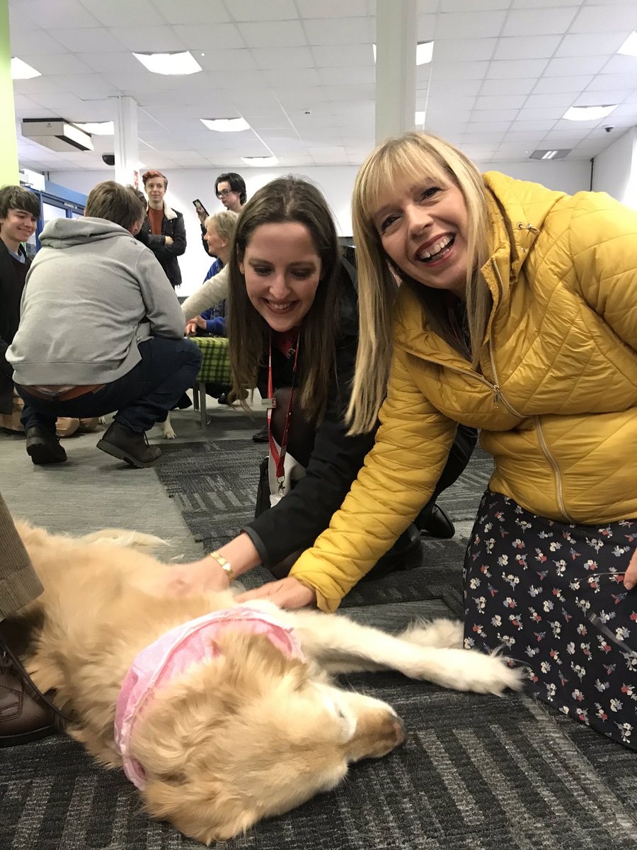 GayHiggins's tweet photo. Loved meeting guide dog Kate today 😊 and learning about the fab work by @guidedogs - please support this amazing charity 👍🏻 https://t.co/JCgWzWaB36