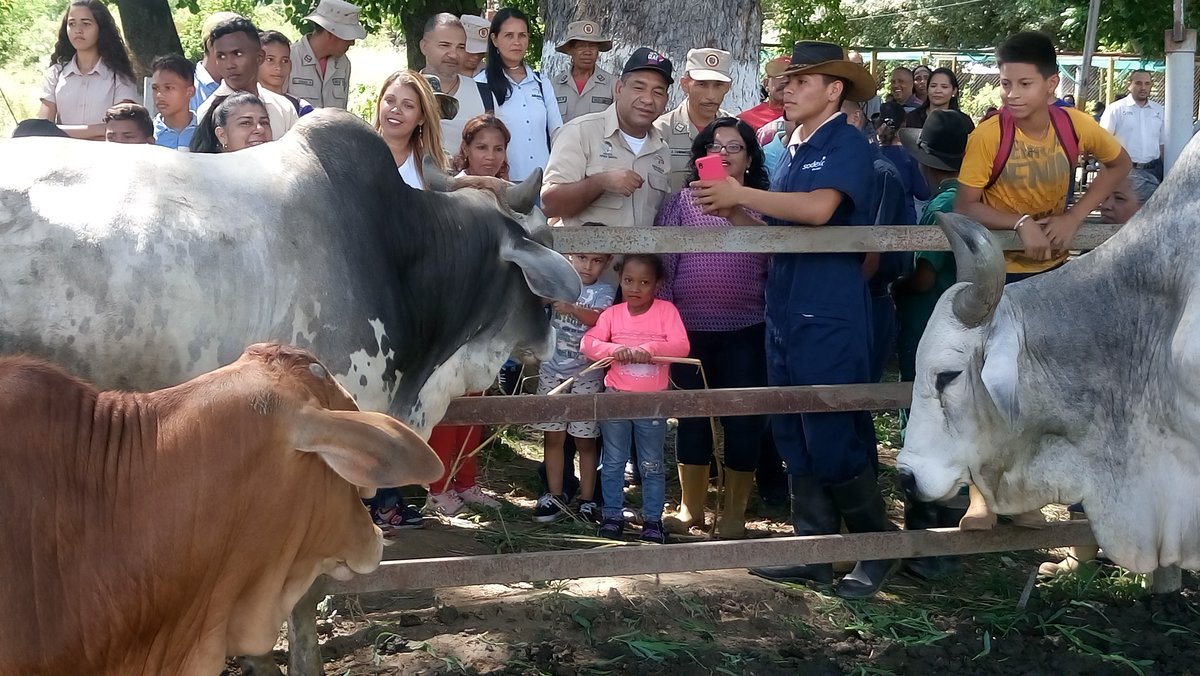 leoalvacabrera's tweet photo. Aquí seguimos en unión trabajando por nuestra patria, por nuestra soberanía somos gente de paz ✌ estamos en Resistencia y Venciendo ¡Juntos Todo Es Posible! 🙆 @NicolasMaduro @psuvaristobulo #VenezuelaEnBatallaPorLaPaz
.@dcabellor @TareckPSUV @RMarcoTorres @RosangelaOrozco https://t.co/3IAtF9gSyY