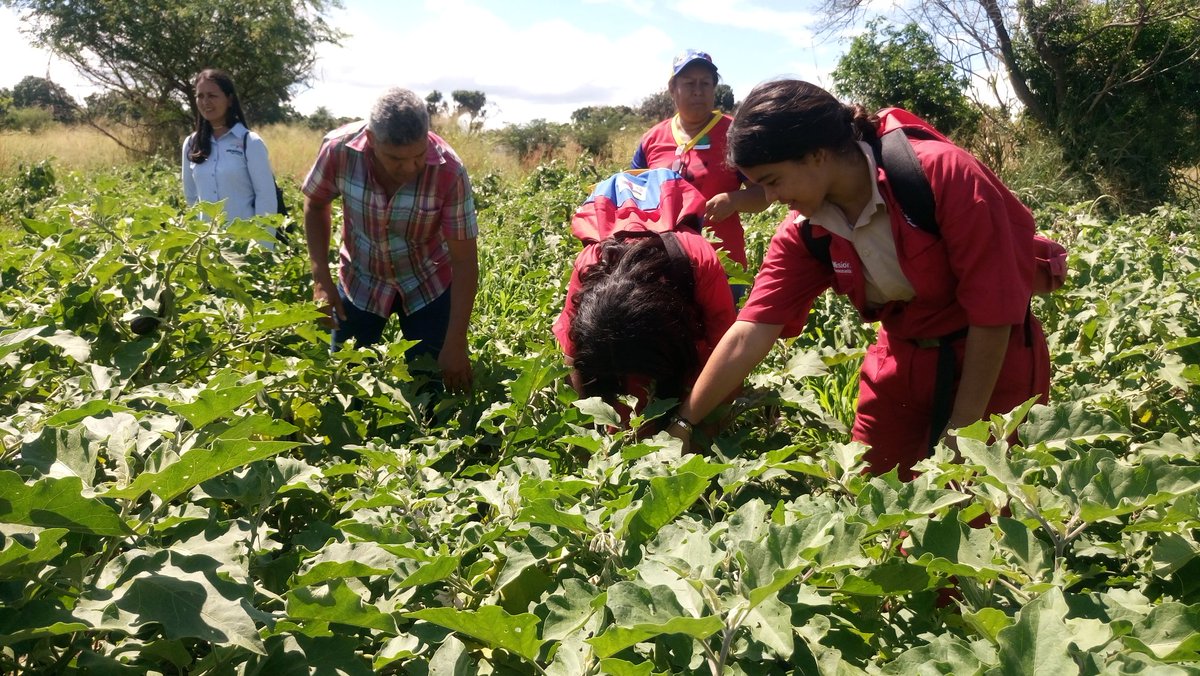 leoalvacabrera's tweet photo. Aquí seguimos en unión trabajando por nuestra patria, por nuestra soberanía somos gente de paz ✌ estamos en Resistencia y Venciendo ¡Juntos Todo Es Posible! 🙆 @NicolasMaduro @psuvaristobulo #VenezuelaEnBatallaPorLaPaz
.@dcabellor @TareckPSUV @RMarcoTorres @RosangelaOrozco https://t.co/3IAtF9gSyY