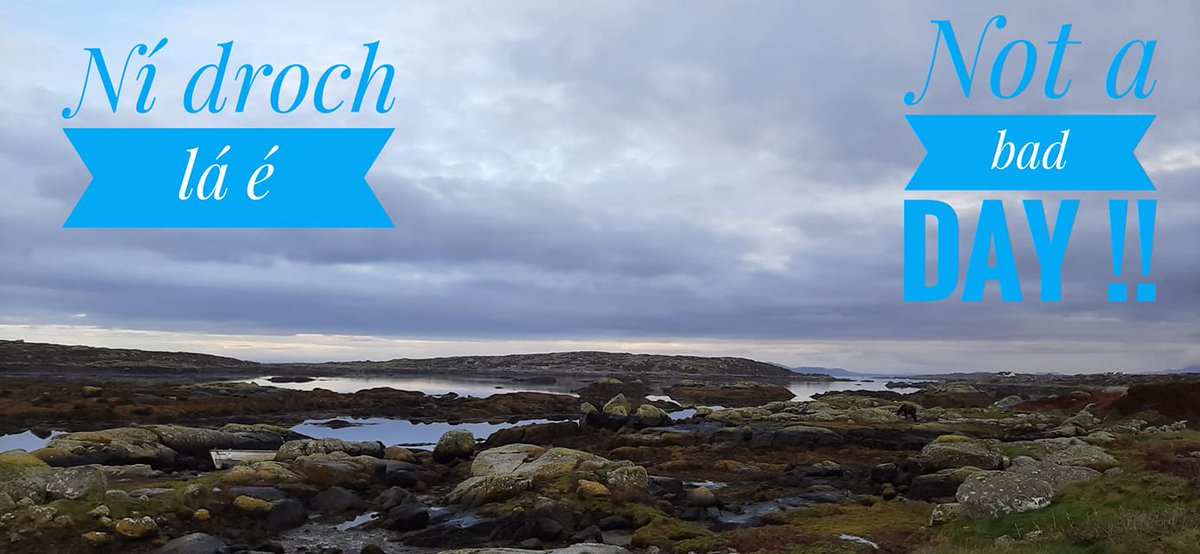 The Seaweed Centre (@seaweedcentre) on Twitter photo 