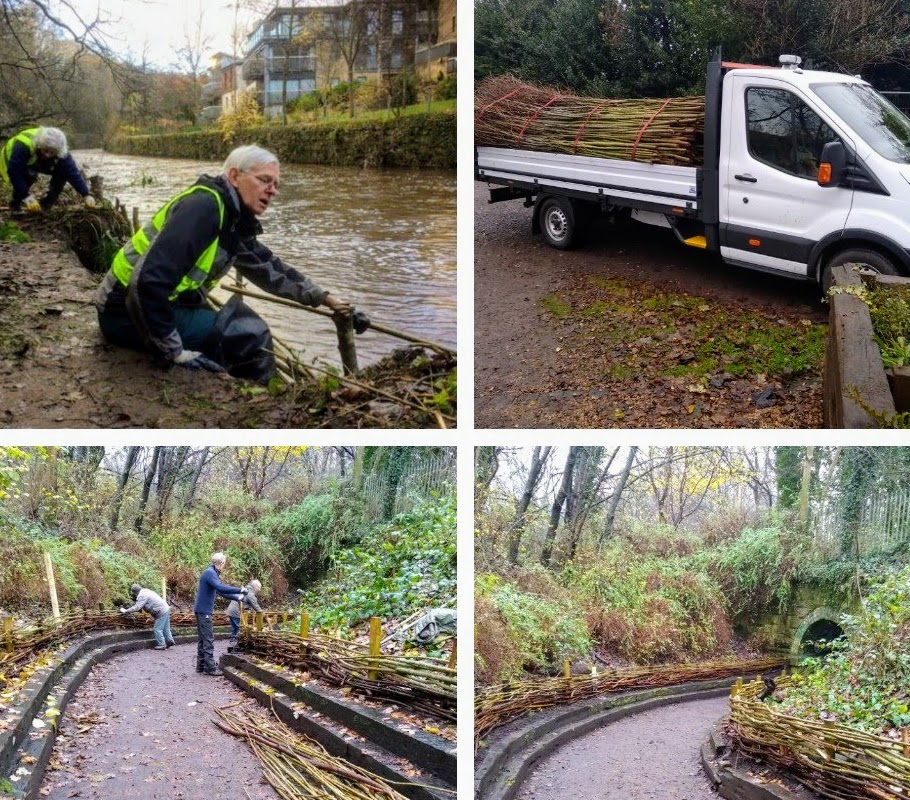 WOLCT's tweet photo. It's all about #willow this week as our epic #conservationvolunteers put in willow fences and willow spiling to stop erosion along the river bank and path. A lovely #traditionalskill still being practiced on our #urbanriver https://t.co/WjQUAitJpy