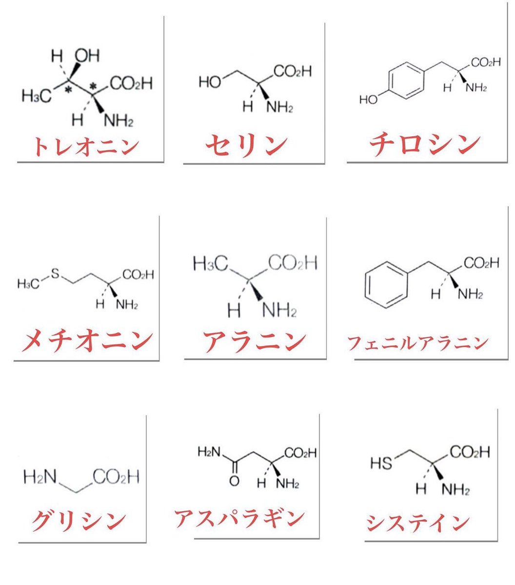 あやちゃむ 薬剤師 生物 衛生 もう 完璧 必須アミノ酸の構造式とその働き たまには初心に返ってみましょう 応用問題は基本があってこそ解ける問題です 構造式は覚えて損なし あやちゃむ 薬剤師 生物 衛生 もう 完璧 必須アミノ酸の構造式とその働き たまには初心に返ってみましょう 応用問題は基本があってこそ解ける問題です 構造式は覚えて損なし