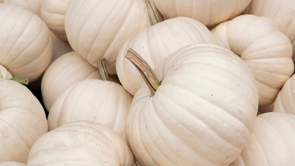 glimmerVIP's tweet image. EVER so Thankful for this community! #GlimmerVIPs