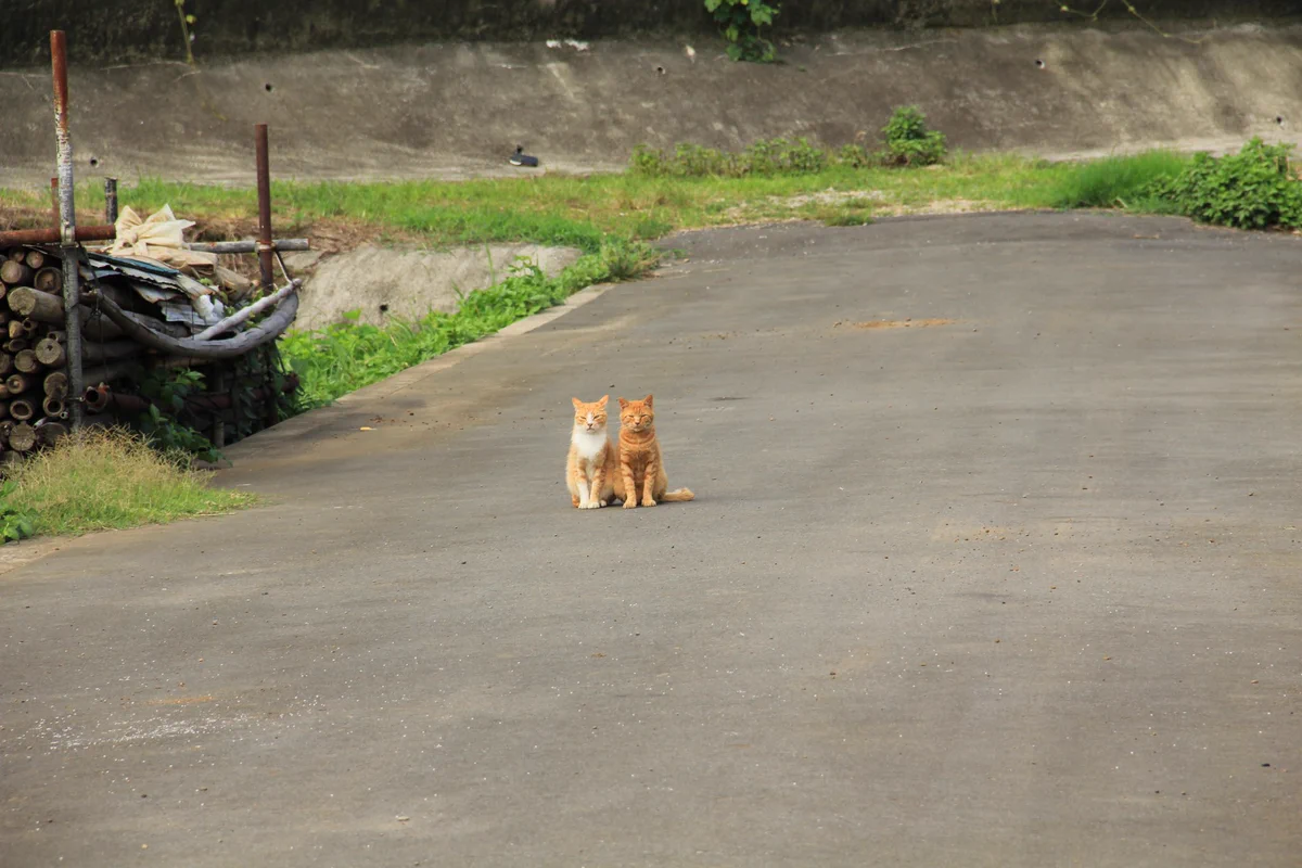 写真の上手い下手よりも心に響くかどうかを大切にしたい・・・