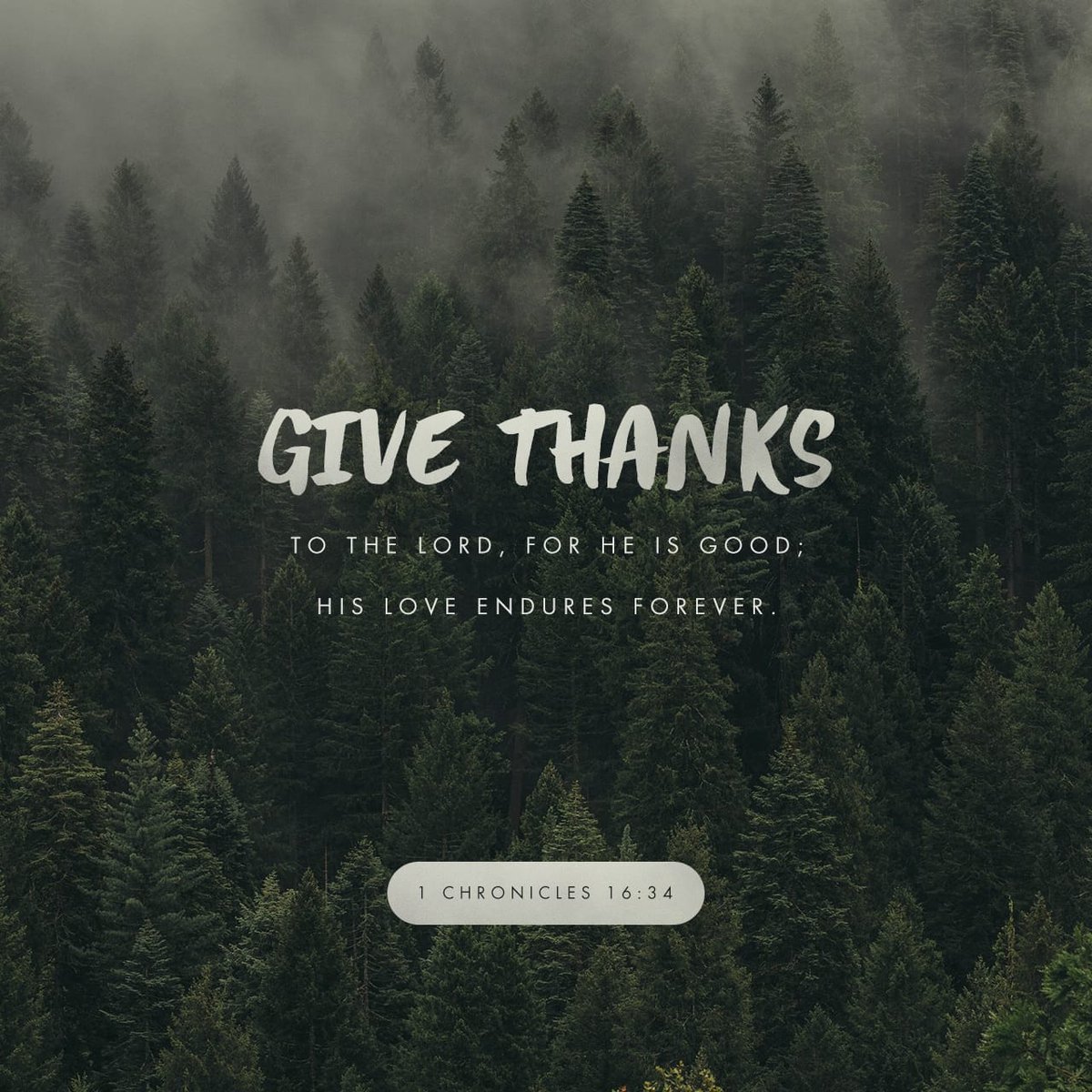 curtis_sikes's tweet image. Give thanks to the Lord , for he is good; his love endures forever.
1 Chronicles 16:34 NIV
1chronicles.bible/1-chronicles-1…